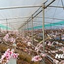 수정하우스2 이미지