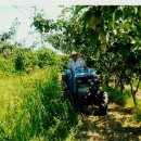 삼정농원 이미지