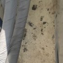 제방안길 이미지