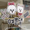 예쁜댕 | 암사동 인싸 강아지 되는법 댕댕이 미용실&lt;예쁜댕&gt;