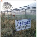 이중영 - 6309 | 이중영
