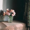 모라식당 이미지