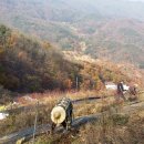 주밤농장 이미지