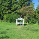 아침에 신선목장 이미지