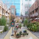 성수연방 이미지