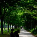 부산 당일치기 여행코스, 감천문화마을과 영도를 하루에 돌아봤습니다