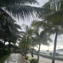 한진당구장 | 4인가족 3박5일 11월 나트랑 여행기 (아미아나리조트 신관, 쏨모이가든, 엇히엠, 세일링클럽, CUI씨푸드...