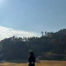 참밸리 컨트리클럽 | 참밸리CC 라운딩 골린이 후기 &amp; 코스 공략 팁