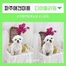 디어플라워(Dear.flour) 이미지