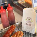 지희네펜션 | 창원 마산 애견독채펜션 추천 견종, 몸무게 제한없는 멍온스테이