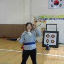 정밀사