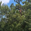 삼죽축구장 이미지