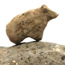 아나톨리아 이미지