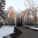 프린스파크 이미지