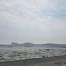 대부도 씨 아트 바다펜션 | 대부도 캠핑장 바다와 갯벌을 동시에 즐기는 비치캠핑장 장단점 후기.