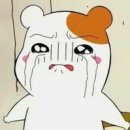 아동요리지도사 이미지