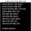 보니또그 이미지