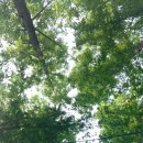 도림사오토캠핑리조트 이미지