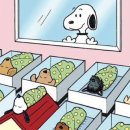 가율 산후조리원 이미지