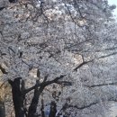 창원대로 이미지