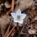 지랑마을 이미지