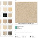 동신메디칼 이미지