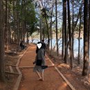 땅뫼산산책로변 공중화장실 | 부산 땅뫼산 황토숲길 힐링하기 좋은 산책로 가볼만 한 곳