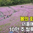 불암산 철죽공원 4호선 상계역 이미지