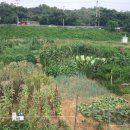 한씨농장 이미지