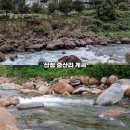숲속계곡 쉴만한물가 이미지