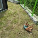 젤리뽀개린이집 이미지