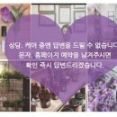 향기심리코칭 이미지