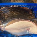 신진조선소 이미지