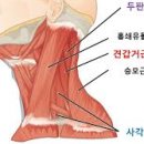 자연한의원 네이버블로그
