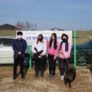 바둑이펫 이미지