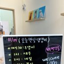 부부펫살롱 네이버블로그