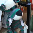 컨츄리Dog 이미지