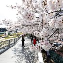 운동의 계절 이미지