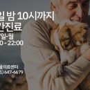 정강동물병원 이미지
