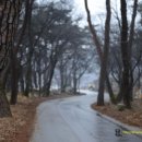 오랜미래신화미술관 이미지