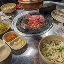 불타는돼지 이미지