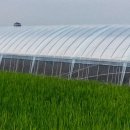 용안농장 이미지