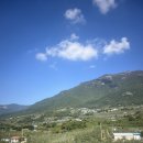 카페산내랑 | [경남/밀양] 밀양 숲 뷰 대형카페 추천 "카페 산내랑"