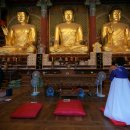 명화축사 이미지