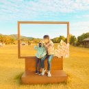 10월 11월 순천만 습지 갈대숲 일몰 절정은 언제