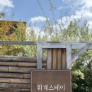 워너비 동물병원 | 강원도 고성가족여행 모로코감성 독채펜션 휘계스테이 최고의숙소였다