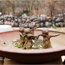 돌석도예박물관 이미지