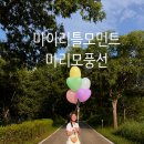 마산풍선 추천! 합성동 마이리틀모먼트 마리모풍선 후기