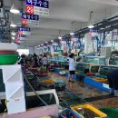 거금아일랜드펜션 이미지