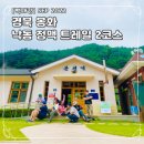 계리마을회관 | [백패킹] 경북 봉화 낙동 정맥 트레일 2코스 (SEP.2022)